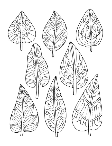 Mindfulness Patterns: Coloring Book with Creative Pattern Designs for Stress Relief and Relaxation Vivi Tinta