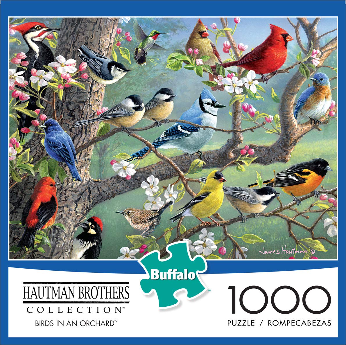 Buffalo Games - Hautman Brothers - Birds in an Orchard - 1000 Piece Jigsaw Puzzle Buffalo Games