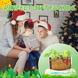 Root Viewer Kit for Kids - Grow Your Own Kids Garden for Boys & Girls - Science STEM Toy & Craft Growing Kits for Ages 6 7 8 9 10 Birthday Easter Gifts for Boy & Girls - Kid Gardening Set Geynaw