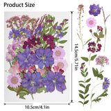 179Pcs Dried Pressed Flowers Real Pressed Flowers Natural Dry Leaves Bulk Mixed Colorful Herbs Kit with Tweezers for Scrapbooking DIY Candle Jewelry Crafts Making (Delicate Color) Gvhntk