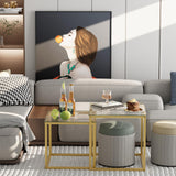 VILAWLENCE Coffee Table Set of 2, Modern Gold Glass Side Table, Metal Frame Square End Table, Center Tables Nesting Coffee Table for Living Room,Bedroom and Small Spaces VILAWLENCE