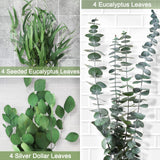 12 Pcs Mixed Real Dried Eucalyptus Leaves Stems - Preserved Eucalyptus Branches, Silver Dollar Eucalyptus, Seeded Eucalyptus Bouquets for Vase Floral Arrangements Wedding Greenery Decor Glicrili