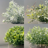 PENGYEE 4 Pack Small Fake Plants, Artificial Plants Indoor for Home Decor, Small Faux Plants Indoor, Fake Plants in White Pot for Bathroom Bedroom Kitchen Office Farmhouse Room Shelf Decor PENGYEE