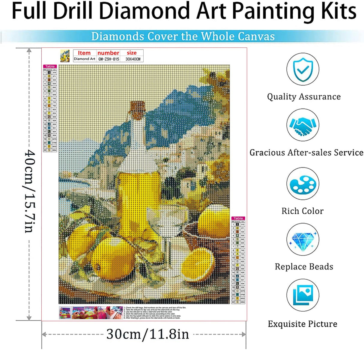 GemZono Diamond Art Kits for Adults Italian Limoncello 5D Diamond Painting Kits for Adults DIY Full Round Drill Carton Diamond Art Pictures for Home Wall Decoration(12x16 inch) GemZono