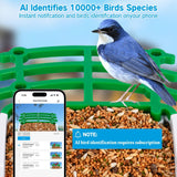 seanme Smart Bird Feeder with Camera Solar-Powered | 2.5K HD Live View, AI Identify 10,000+ Birds | Instant Alerts & Weatherproof Design | Bird Watching Birthday Gift for Mom/Father/Grandparents seanme