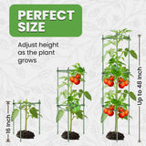 Tomato Cage - Trellis Stakes and Plant Support Structures for Vegetables and Climbing Plants - Tall Tomato Cages for Garden, Pots, Raised Garden Bed Outdoor (3 Pack - Up to 48 Inches) K-Brands