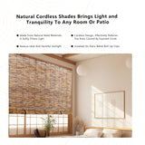 Gardgue Cordless Reed Blinds, 48" W x 72" L Bamboo Roll Up Shade, Privacy Screen Waterproof Roller Shades for Porch, Bamboo Windows Curtain for Indoor, Patio Gardgue