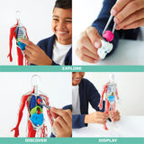 Discovery™ 3D Human Anatomy 28-Piece Biology Model with Glow-in-The-Dark Human Model, Hands on Learning, Age 8+ Discovery Kids