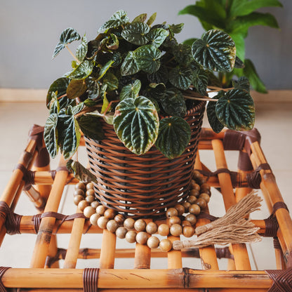 Nanalou Wood Bead Garland | Add a Touch of Boho Style to Your Farmhouse Décor with All-Natural, Handmade Wooden Bead Garland (Walnut, Large)