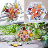 9 Inch Large Silicone Molds for Resin, Large Resin Molds, Upgraded Hexagon Shapes Silicone Molds for Resin Casting for Flowers Preservation, Books Desktop Organizer, Gift and Home Decors OMDBAGD