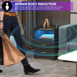 dnbss Black Nightstand Set of 2 with Charging Station, LED Night Stands with 24-Color RGB Lights, Smart Lighted Bedside Table with 2 Drawers, Modern Nightstand for Bedroom dnbss