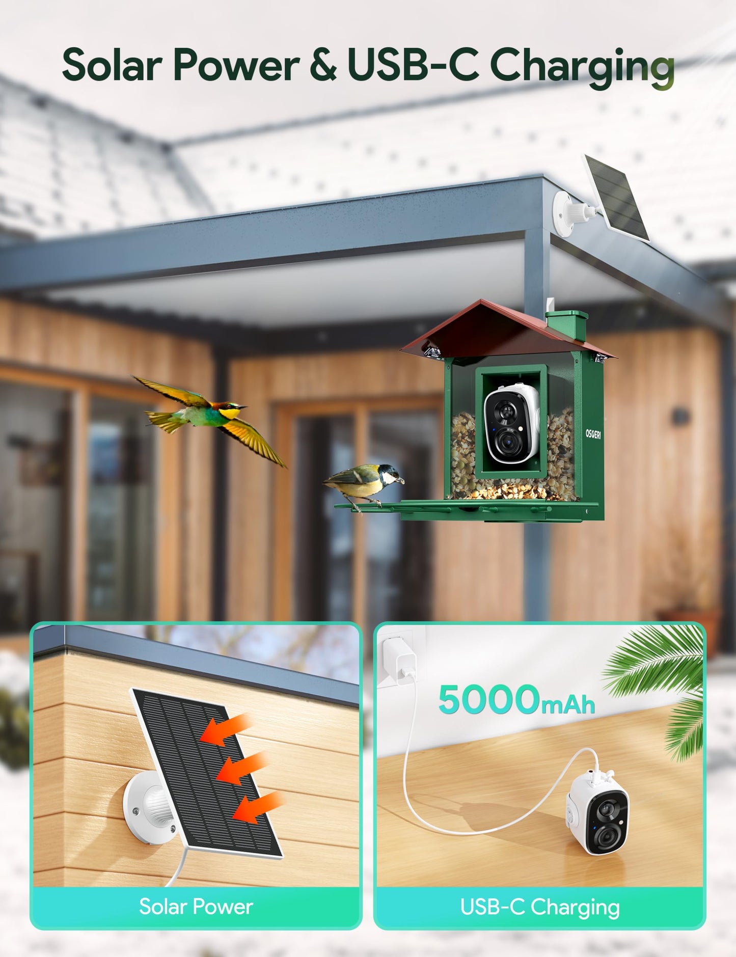 Osoeri Bird Feeder with Camera, Smart Bird Feeder Camera with AI Identify, Auto Capture Bird Videos & Motion Detection, Ideal Gift for Bird Lovers - WoodArtSupply