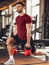 Dry Fit Tshirts Shirts for Men 5 Pack Moisture Wicking Quick Dry Mesh Performance Tees Gym Tech T Polyester Sublimation Active Athletic Crew Short Sleeve Workout Running Tops (Multipack 1, L) Tchumum