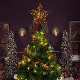 Rattan Natural Star Christmas Tree Topper - Rustic Farmhouse Xmas Treetop with 50 Warm LED Lights for Indoor Christmas Tree Decorations Holiday Seasonal Decor DDcafor