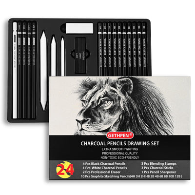 Drawing Sketching Pencil Set, 24 Piece Pro Artist Sketch Kit - Graphite Pencils (12B-4H),Charcoal Pencils for Drawing,Black and White Charcoal Pencils,Charcoal Sticks,Stumps,Eraser,Sharpeners