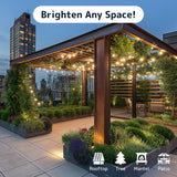 PREXTEX 200 Count Clear Christmas Tree Lights - 40 ft Warm Fairy String Lights with Green Wire - Indoor and Outdoor Mini Light for Christmas, Holiday Decorations, Trees, Fences, Patios and More PREXTEX