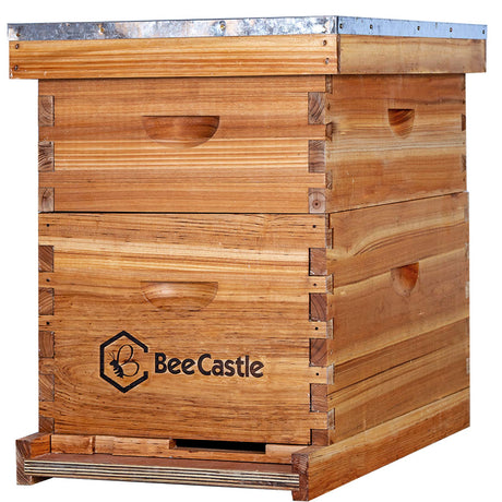 BeeCastle 10-Frames Complete Beehive Kit, 100% Beeswax Coated Bee Hive Includes Beehive Frames and Beeswax Coated Foundation Sheet (2 Layer) BeeCastle