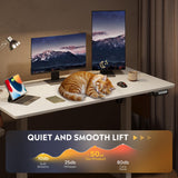 DEVAISE 48 X 24 Inches Electric Standing Desk,Height Adjustable Stand up Desk for Home Office, Ergonomic Sit to Stand Desk with Phone Holder,White DEVAISE