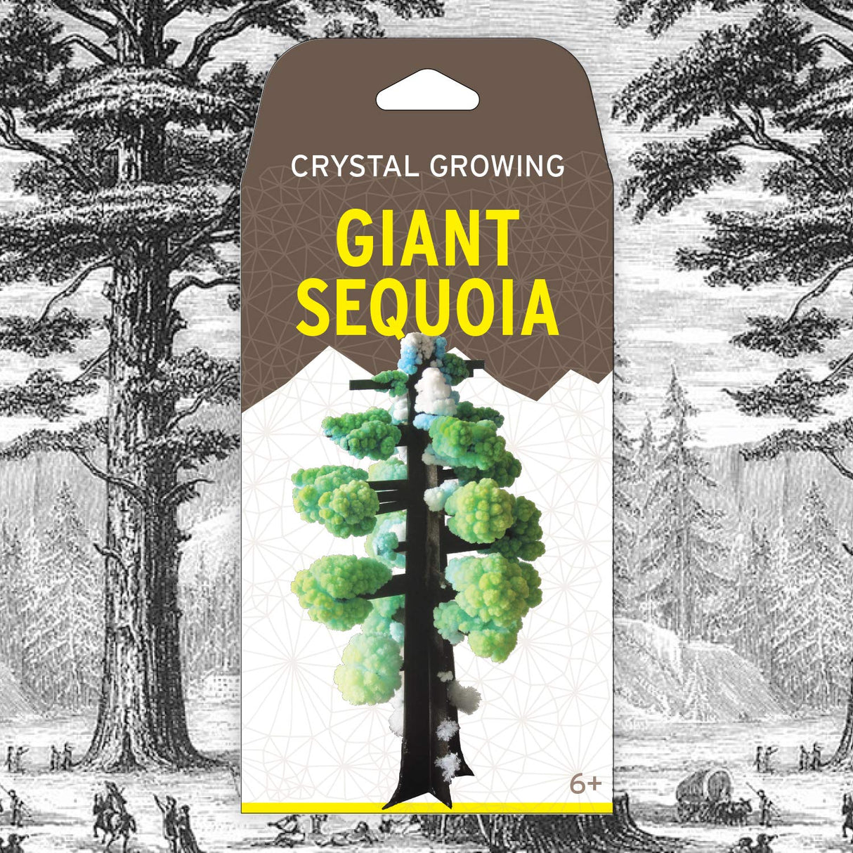 Crystal Growing Giant Sequoia | Copernicus Toys Official Terraformer kit | Grows in Hours | Facts and Instructions Copernicus Toys