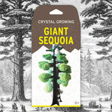 Crystal Growing Giant Sequoia | Copernicus Toys Official Terraformer kit | Grows in Hours | Facts and Instructions Copernicus Toys