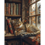Sleeping Cat Paint by Numbers Kit for Adults - Bookshelf Paint by Numbers for Adults Beginner, DIY Acrylic EasyPainting by Number on Canvas Home Wall Decor 16”W x 20”L Clendo