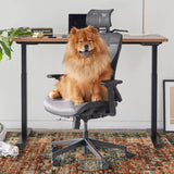 Anidaroel 48"x60" Chair Mat for Hardwood Floor/Tile Floor, Desk Chair Mat for Hard Floors, Under Desk Rug Protector for Rolling Chair, Computer Gaming Chair Mat, Low Pile Carpet Floor Mat Anidaroel