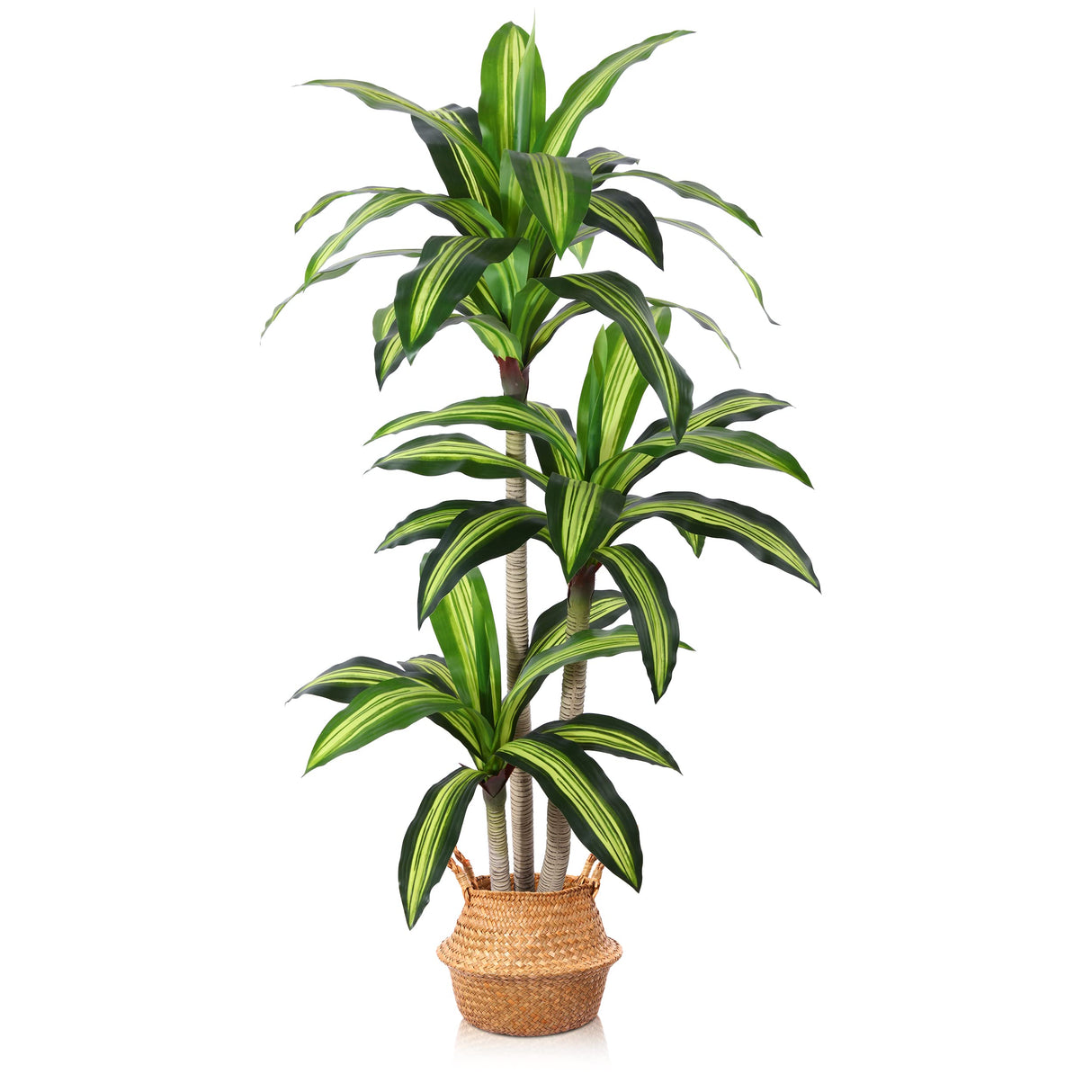 Ferrgoal Artificial Plants, 5 Ft Dracaena Tree Faux Plants Indoor Outdoor Decor Fake Tree with Woven Seagrass Basket Plants for Home Decor Office Living Room Porch Patio Housewarming Ferrgoal