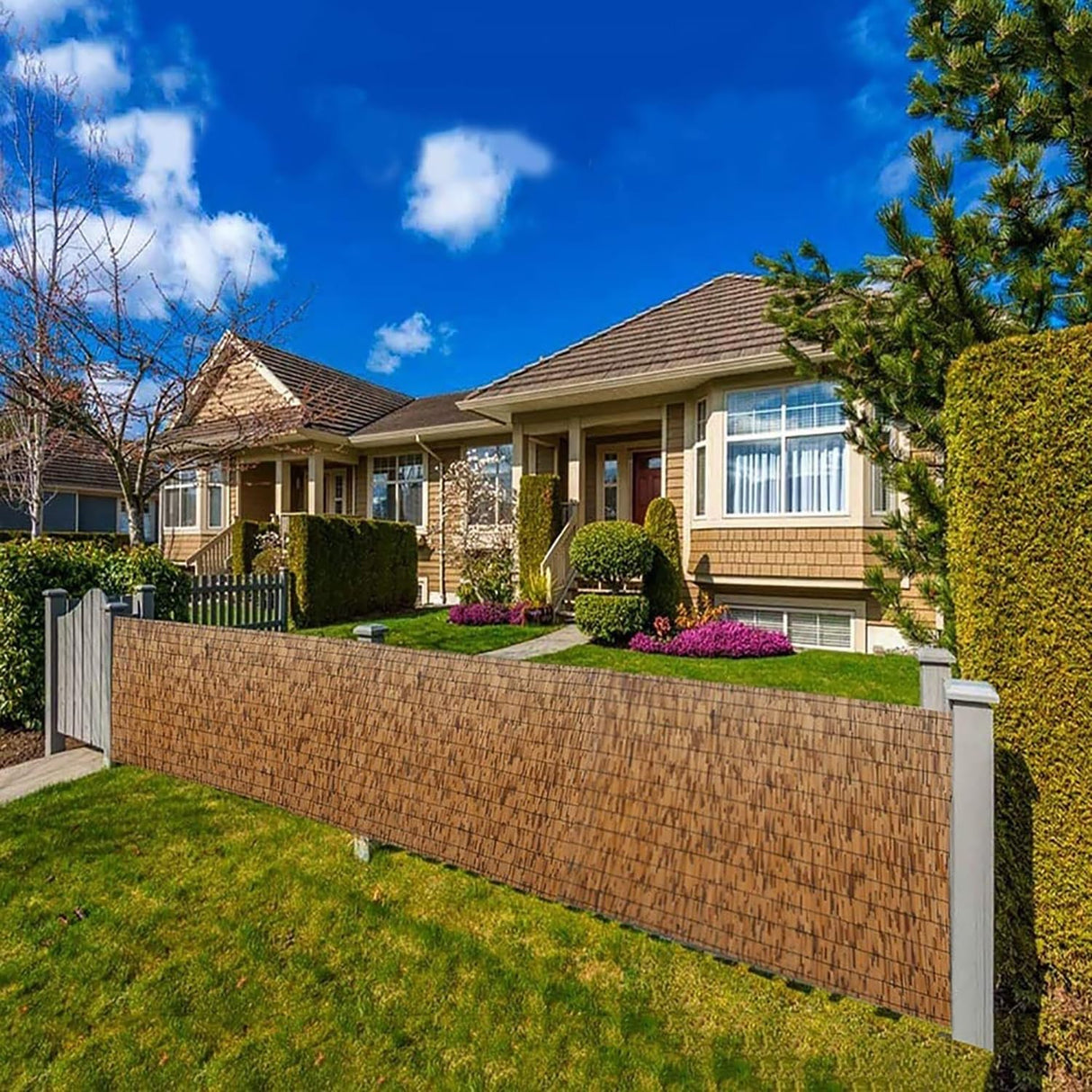 Natural Reed Fencing Rolls, Outdoor Privacy Fence Breathable Garden Fencing for Balcony Backyard Patio Fencing Divider Decors Fence, 2ft 2.3ft 3ft 3.3ft 3.6ft 4ft 4.6ft 5ft 6ft High(70*300cm(2.3*9.8ft HSPLXYT