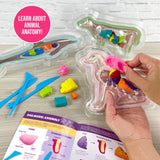 ArtSkills Epic Lab Vet Kit for Kids, Animal Anatomy Science Kit for Kids 8+ with Modeling Clay ArtSkills