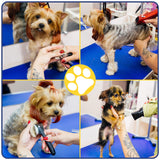 LOVMOR 36 Inch Dog Grooming Table,Adjustable Home Pet Grooming Tables with Arm/Noose/Mesh Tray LOVMOR