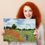 DIAMOND DOTZ Poppy Fields (apr?s Monet) Diamond Painting Kits for Adults - Diamond Art Kits a Relaxing Creative Craft Kit with Dotz Gems 22x16 DIAMOND DOTZ