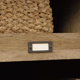 Sauder Adept Storage Credenza/Pantry Cabinet, L: 58.19" x W: 17.17" x H: 36.26", Craftsman Oak finish Sauder