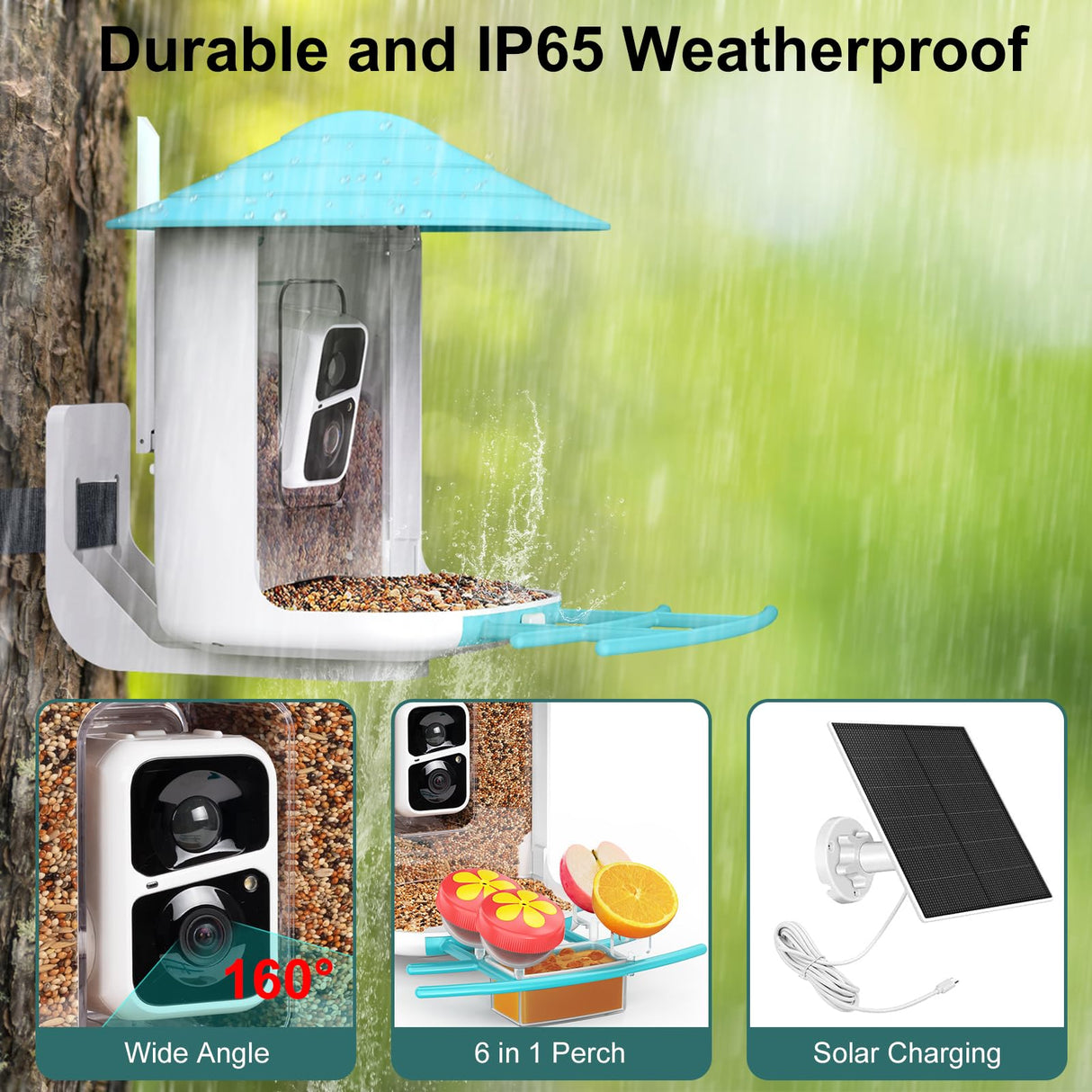 birdsnap Smart Bird Feeder with Camera+Solar Panel 64G SD Card 6-in-1 Perch, 160°View Auto Capture Bird Videos 1080P, AI Identify 10000+ Species Bird birdsnap