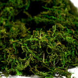 BYHER Artificial Moss Fake Green Grass for Centerpieces Home Kitchen Garden Decor (8OZ, Fresh) BYHER