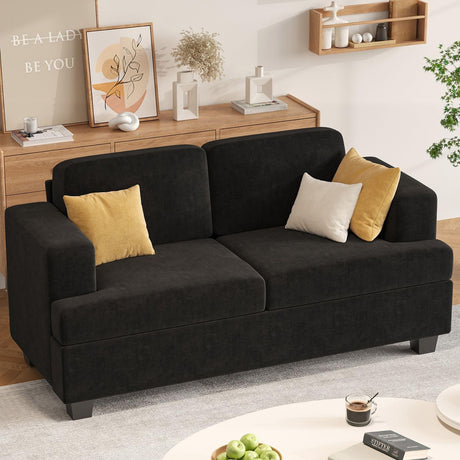 Apicizon 63" Cloud Sofa Loveseat Sofas, Comfy Loveseat Couch for Bedroom Living Room, Black Couch Sofa with Removable Cushions, Chenille Apicizon