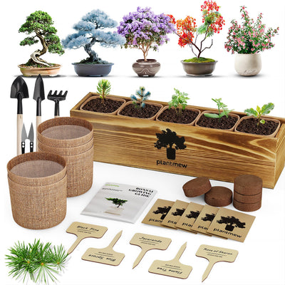 Bonsai Tree Kit – 5Pack Complete Indoor Starter Kit with 5 Unique Japanese Bonsai Trees, Tools & Planters – Perfect Gardening Gift for Women, Men, Plant Lovers – Great for Easter, Father’s Day