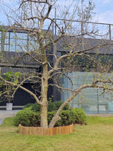 Bamboo Short Fence Outdoor Landscape Edging Flexible Decorative Border 7.8'' H x 47'' L HTWNK