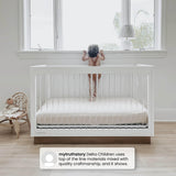 Delta Children James Acrylic 4-in-1 Convertible Crib - Greenguard Gold Certified, Midnight Grey/Acorn Delta Children