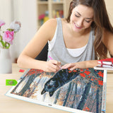 JOOZ Large Diamond Art Kits for Adults - 5D Wolf Diamond Painting Kits for Adults, DIY Full Drill Black Wolf Diamond Art Painting, Gem Painting Kit for Home Wall Decor 27.5 X 15.7 Inch JOOZ