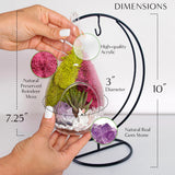 Creations by Nathalie - Plant Terrarium Kit W/Live Succulent (Fresh from Florida), Choose Your Glass DIY Terrarium Starter Kit for Adults, Metal Stand, Reindeer Moss, Crystal & Rocks, Tools, Figurine Creations by Nathalie