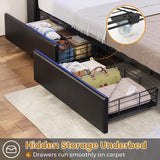 HAUOMS Queen Size Upholstered LED Bed Frame with Storage Headboard and 4 Drawers in PU Black HAUOMS