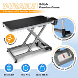 KANIS Professional Electric Dog Grooming Table - Heavy Duty, Height Adjustable Pet Grooming Table w/Leveling Wheels, Grooming Arm, Anti Slip Tabletop & Tool Organizer/Dog Grooming Station (49", Grey) KANIS