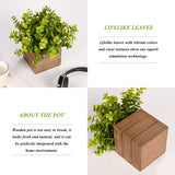 Vlorart Small Fake Plants, 2Pack Mini Potted Artificial Plastic Boxwood Fern Green Decorative Plant in Wooden Potted, Fake Desk Plant for Farmhouse Home Decor Office Bathroom Desk Room Indoor Outdoor Vlorart