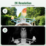 Bird Feeder with Camera,AI Identify Birds Species,Solar Powered,Auto Record Videos in Backyard,Instant Notifications,Ideal Gift for Family and Bird Lovers ANMESC