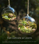 15-Piece Terrarium Kit with Live Moss – DIY Glass Globe Set with Tools, Soil, Stones & Spray Bottle – Indoor Mini Garden Gift for Plant Lovers, Home Decor & Zen Craft LUCKYRUNES