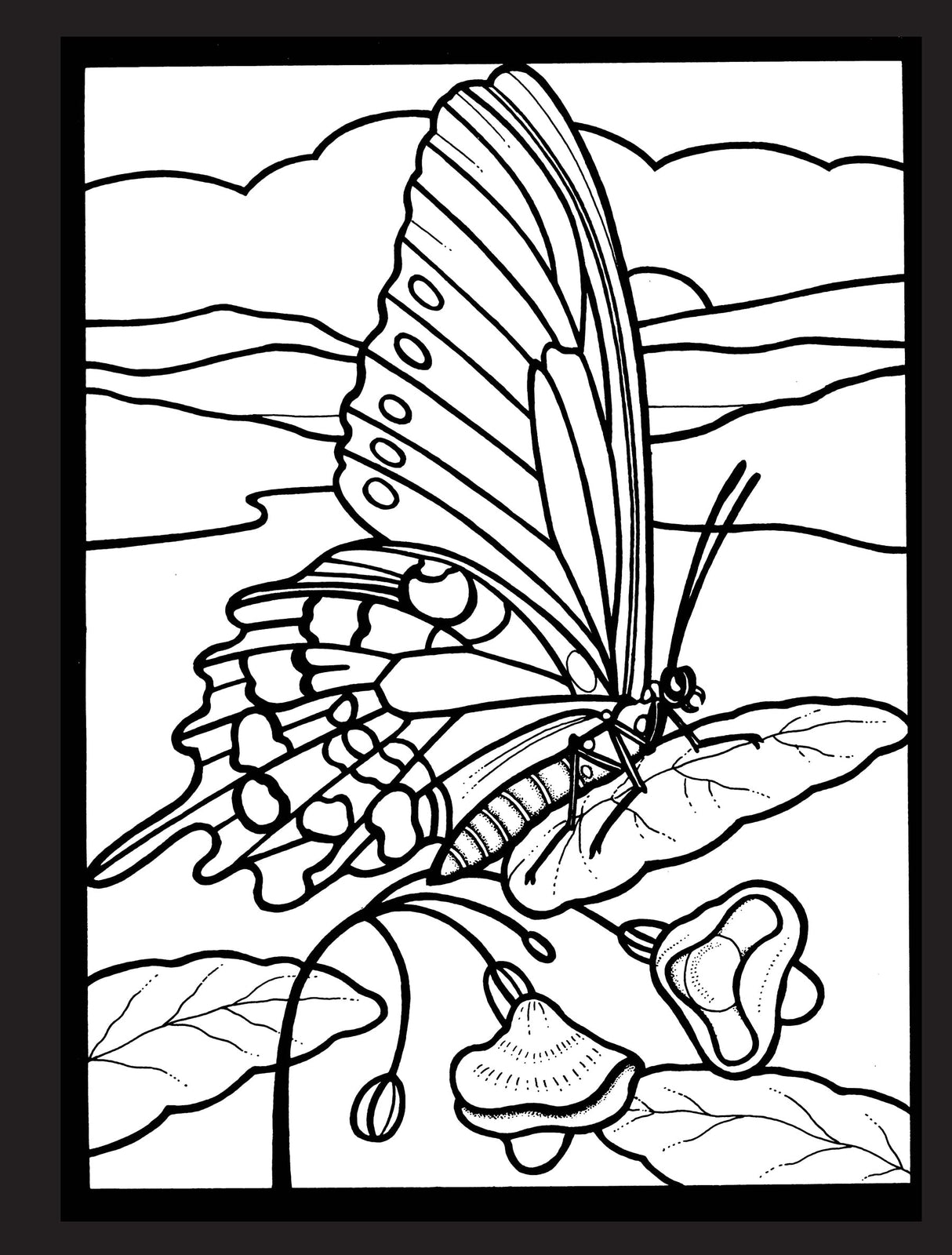 Beautiful Butterflies Stained Glass Coloring Book Dover Publications