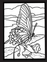 Beautiful Butterflies Stained Glass Coloring Book Dover Publications