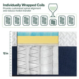 ZINUS 12 Inch King Cooling Comfort Hybrid Mattress [New Version], Fiberglass Free, Medium Firm Feel, Motion Isolation, Certified Safe Foams & Fabric ZINUS