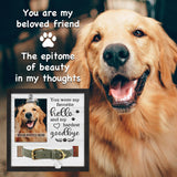 PUREFLY Dog Memorial Gifts for Loss of Dog, Loss of Dogs Sympathy Gift Pet Loss Sympathy Frame with Collar Holder, Pet Cat Remembrance Bereavement Gift PUREFLY