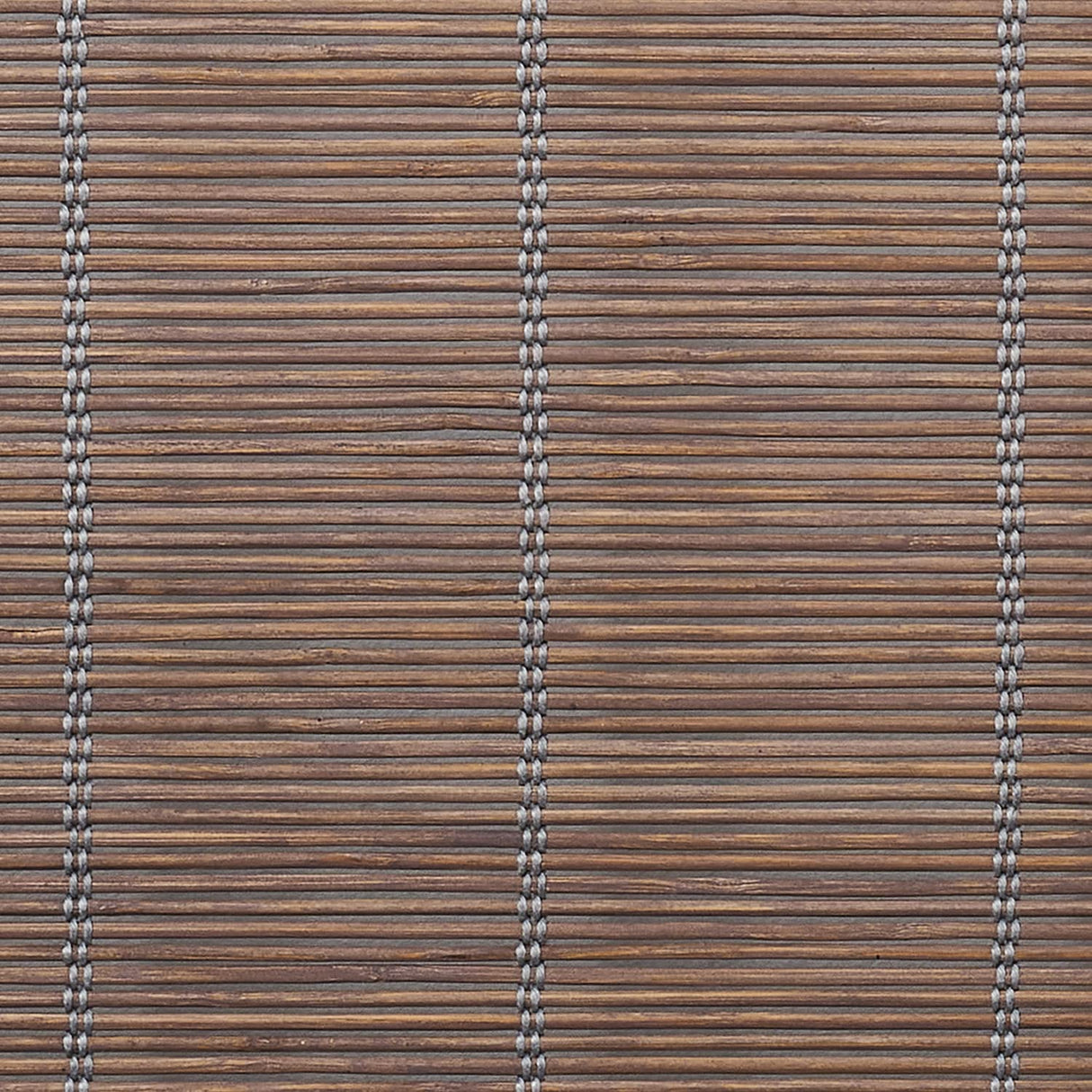 Coolaroo Outdoor Cordless Sun Blocking Roller Shade,4' x 6' Coolaroo